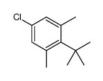 2-tert-butyl-5-chloro-1,3-dimethylbenzene结构式