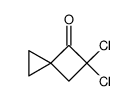 5,5-dichlorospiro<2.3>hexan-4-one Structure