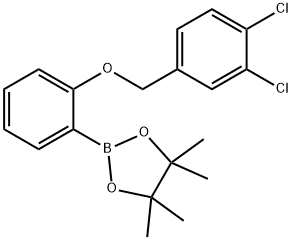 2-((3,4-二氯苯基)甲氧基)苯基硼酸频哪醇酯结构式
