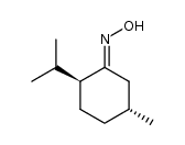 E-(-)-(1R,trans)-3-p-menthanonoxime Structure