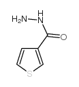 噻吩-3-甲酰肼结构式