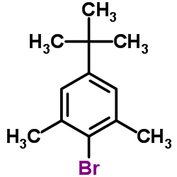 2-bromo-5-tert-butyl-1,3-dimethylbenzene Structure