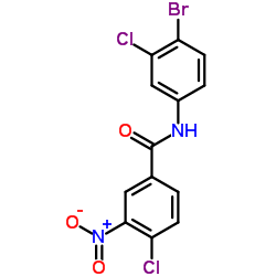 N-(4-Bromo-3-chlorophenyl)-4-chloro-3-nitrobenzamide结构式