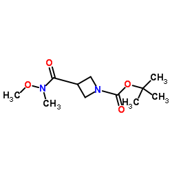 叔丁基3-[甲氧基(甲基)氨基甲酰]吖丁啶-1-羧酸酯结构式