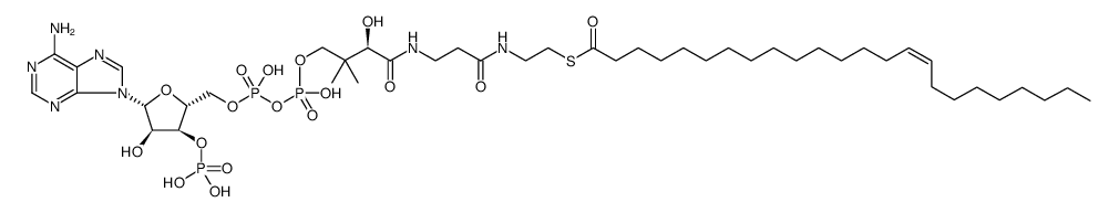 Coenzyme A, S-(15Z)-15-tetracosenoate Structure