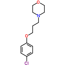 4-(3-(4-氯苯氧基)丙基)吗啉图片