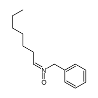 N-benzylheptan-1-imine oxide Structure