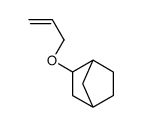 3-prop-2-enoxybicyclo[2.2.1]heptane结构式