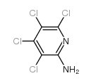 3,4,5,6-四氯-2-吡啶胺结构式