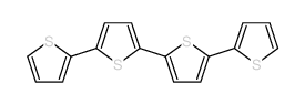 α-四联噻吩结构式