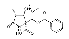 (2S,3S,4R)-2-((S)-1-benzoyloxy-2-methyl-propyl)-3-hydroxy-4-methyl-5-oxo-pyrrolidine-2-carboxylic acid Structure
