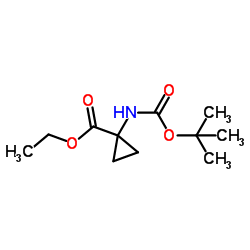 1-(Boc-氨基)环丙烷甲酸乙酯图片