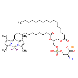 1-棕榈酰基-2-(二氟亚甲基二硼化硼)十一烷酰基-sn-甘油-3-磷酸-L-丝氨酸(铵盐)结构式