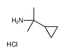 2-环丙基丙-2-胺盐酸盐结构式