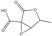 225509-09-1 structure