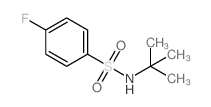 N-叔丁基-4-氟苯磺酰胺图片