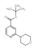 2-(4-吗啉基)-吡啶-4-羧酸叔丁酯结构式