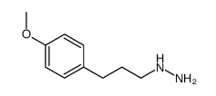 1-(3-(4-甲氧基苯基)丙基)肼结构式