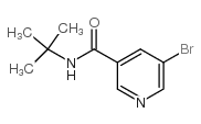 5-溴-N-叔丁基烟酰胺结构式