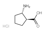 (1S,2S)-2-Aminocyclopentanecarboxylic acid hydrochloride Structure