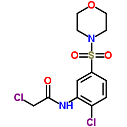 2-CHLORO-N-[2-CHLORO-5-(MORPHOLIN-4-YLSULFONYL)PHENYL]ACETAMIDE Structure