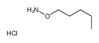 O-pentylhydroxylamine,hydrochloride Structure