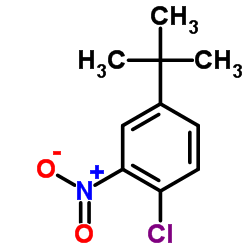 4-氯-3-硝基叔丁基苯结构式