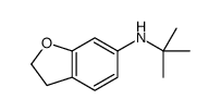 N-tert-butyl-2,3-dihydro-1-benzofuran-6-amine Structure