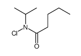 N-chloro-N-propan-2-ylpentanamide结构式