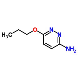 6-Propoxypyridazin-3-amine Structure