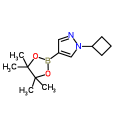 1-Cyclobutyl-4-(4,4,5,5-tetramethyl-1,3,2-dioxaborolan-2-yl)-1H-pyrazole Structure