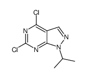 4,6-二氯-1-异丙基-1H-吡唑并[3,4-d]嘧啶结构式