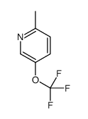 2-甲基-5-(三氟甲氧基)吡啶结构式