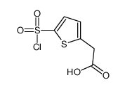 [5-(Chlorosulfonyl)-2-thienyl]acetic acid Structure