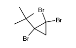 1,1,2-tribromo-2-(tert-butyl)cyclopropane结构式