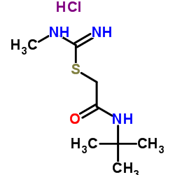 2-[(2-Methyl-2-propanyl)amino]-2-oxoethyl N-methylcarbamimidothioate hydrochloride (1:1) Structure
