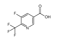 5-Fluoro-6-(trifluoromethyl)nicotinic acid Structure