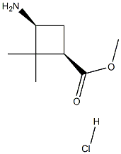 cis-methyl 3-amino-2,2-dimethylcyclobutanecarboxylate hydrochloride picture