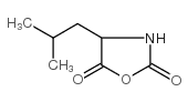 (R,s)-4-异丁基噁唑啉-2,5-二酮结构式