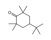 4-tert-butyl-2,2,6,6-tetramethylcyclohexan-1-one Structure