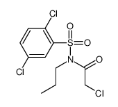 2-chloro-N-(2,5-dichlorophenyl)sulfonyl-N-propylacetamide结构式