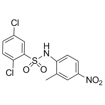 2,5-二氯-N-(2-甲基-4-硝基苯基)苯磺酰胺结构式