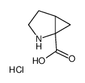2-氮杂双环[3.1.0]己烷-1-羧酸盐酸盐结构式