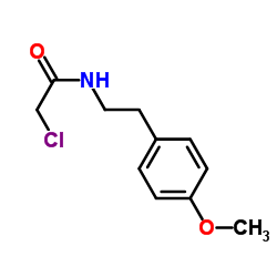 2-Chloro-N-[2-(4-methoxyphenyl)ethyl]acetamide图片