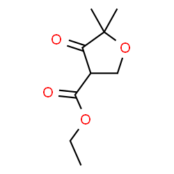 Ethyl 5,5-dimethyl-4-oxooxolane-3-carboxylate结构式