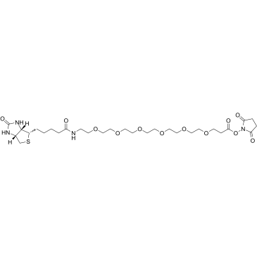 Biotin-PEG6-NHS ester structure