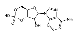 cyclic 9 beta-D-arabinosyladenine 3',5'-monophosphate picture