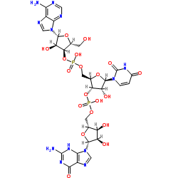 adenylyl-(3'→5')-uridylyl-(3'→5')-guanosine Structure
