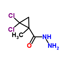 2,2-Dichloro-1-methylcyclopropanecarbohydrazide Structure