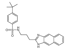 Benzenesulfonamide, 4-(1,1-dimethylethyl)-N-[3-(1H-naphth[2,3-d]imidazol-2-yl)propyl]- (9CI) Structure